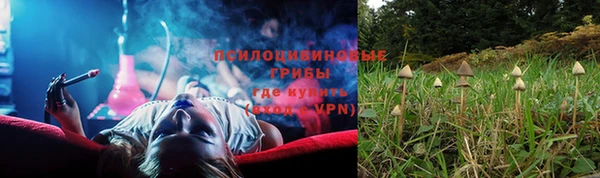 дурь Липки