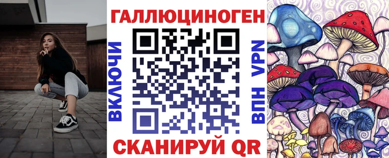 Купить  Калуга  Псилоцибиновые грибы GOLDEN TEACHER 